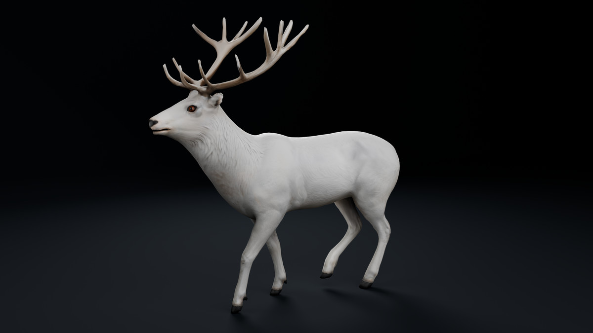 White Deer Stag – Rigged & Animated