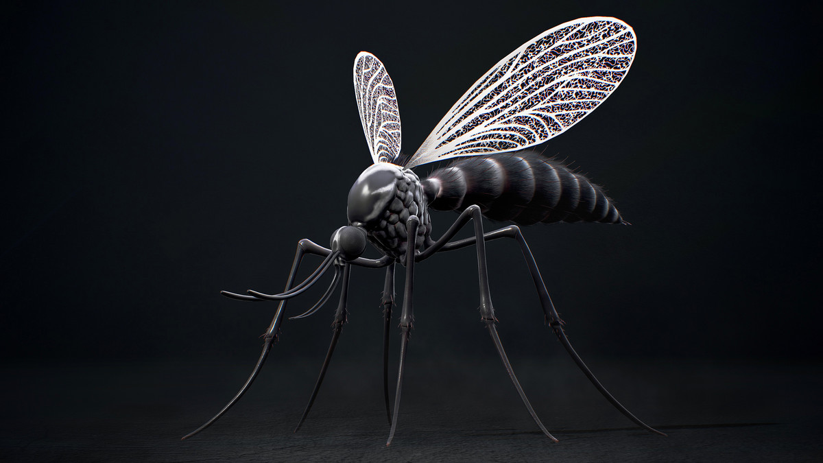 Mosquito Queen - Fantasy land Mosquitoes