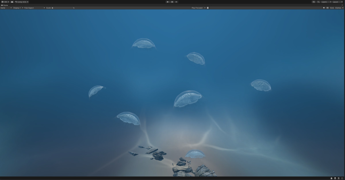 Jellyfish Aurelia
