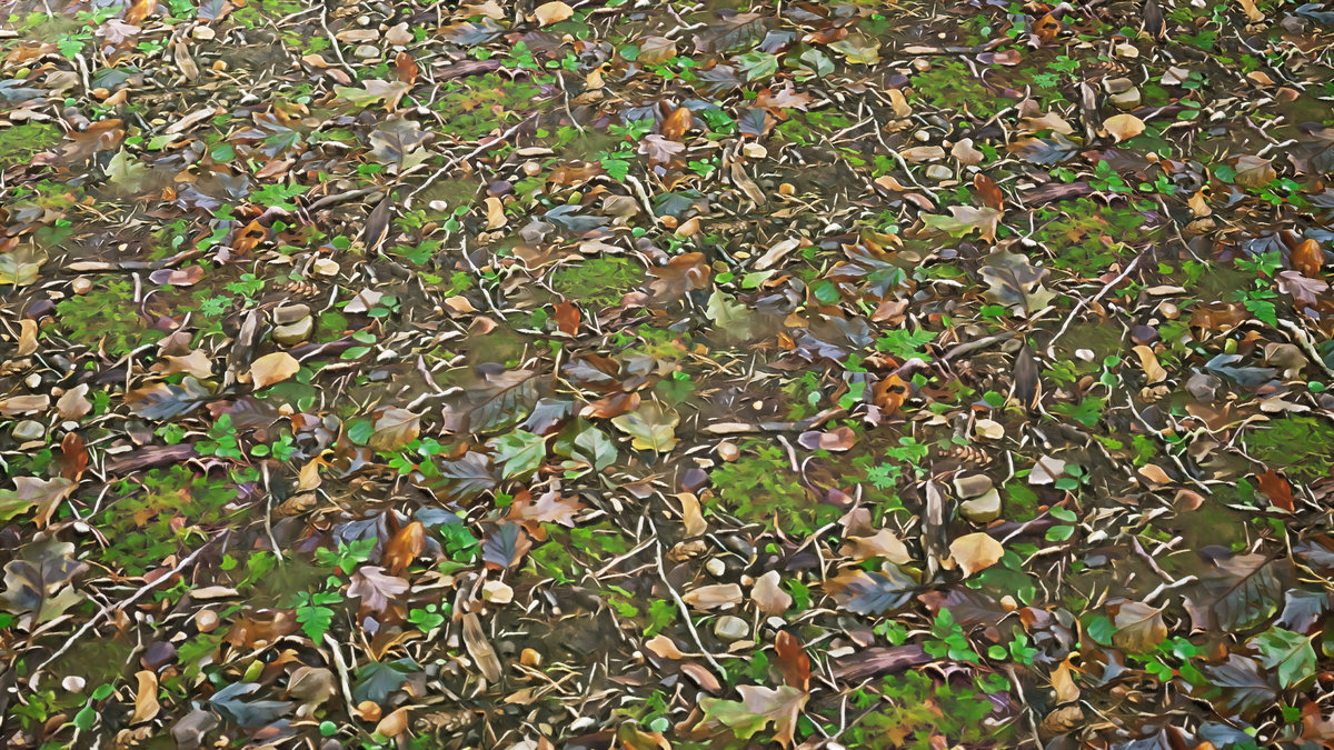 Stylized Materials - Forest Ground 1
