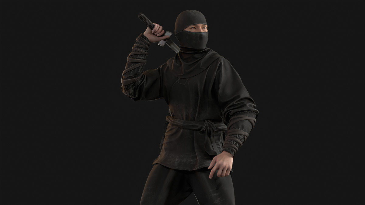 Classic Ninja