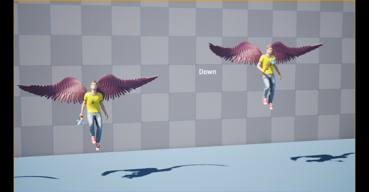 Fairy Mag Animation
