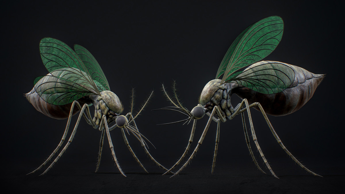 Mosquito Queen - Fantasy Poison Mosquitoes