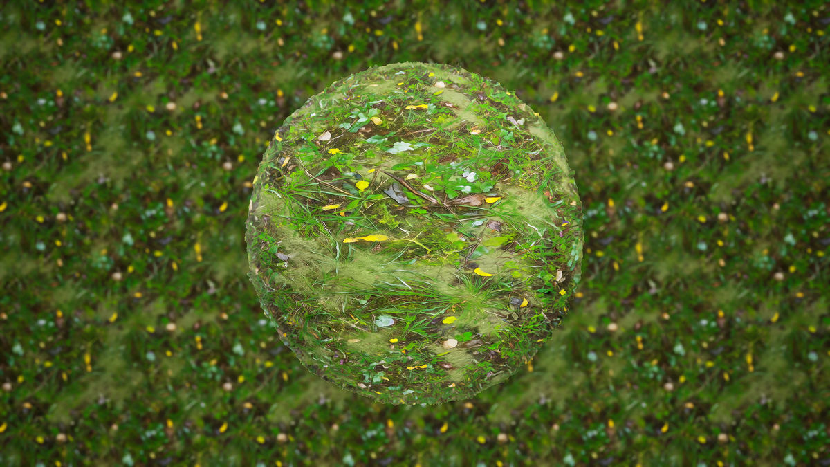 Realistic Materials - Forest Ground 1