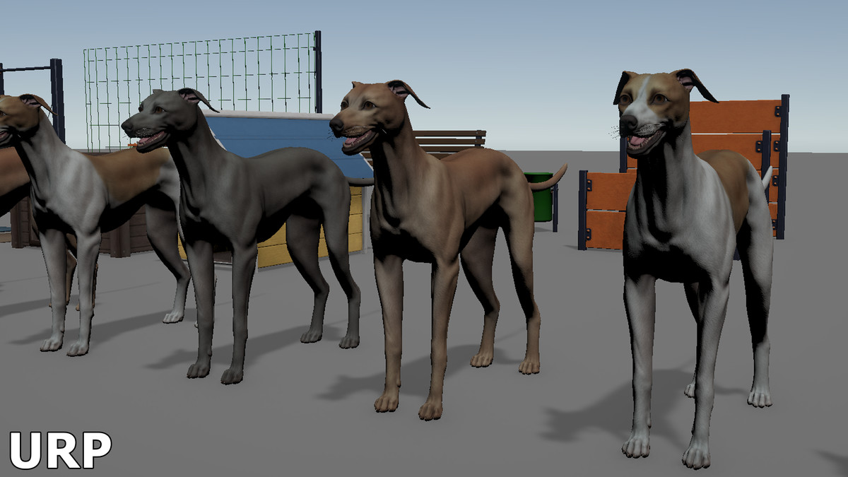 Dog -- Greyhound