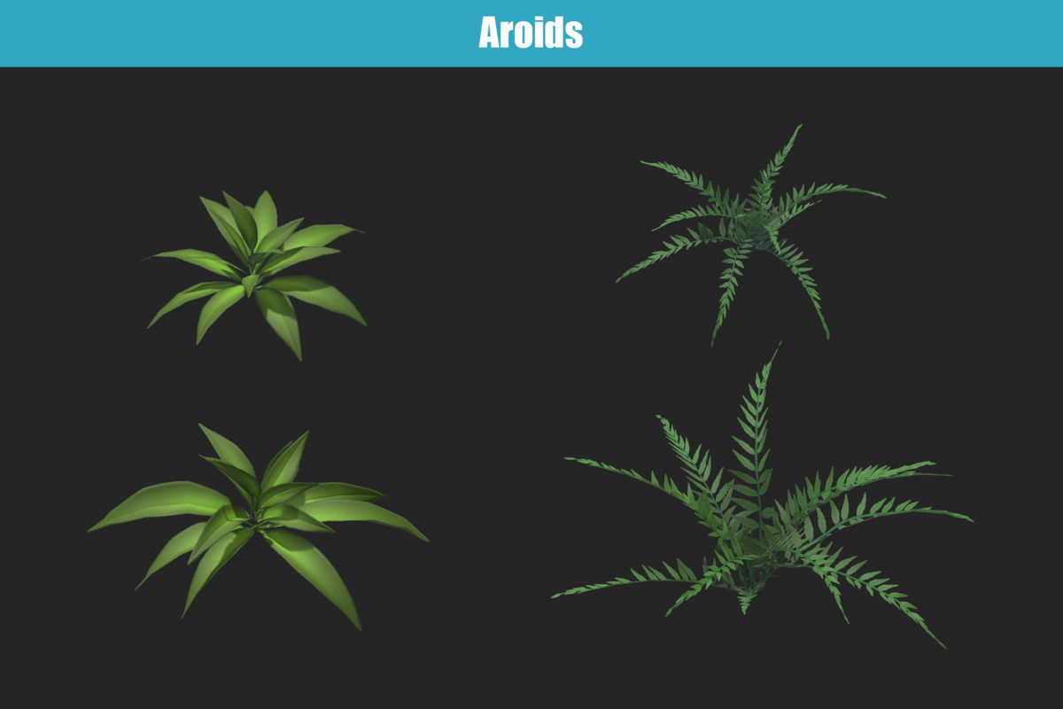 Flexible nature: Sprucewoods