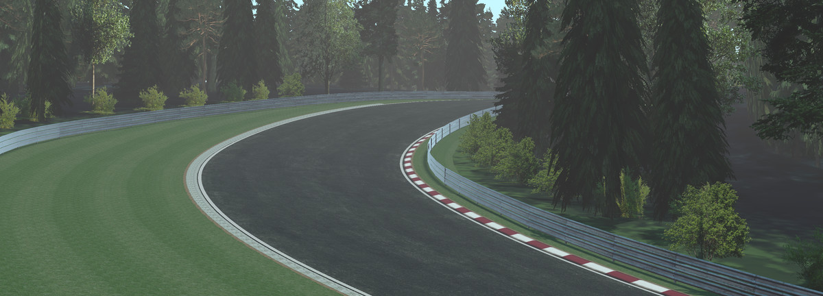 Realistic Race Track Schwarzwald