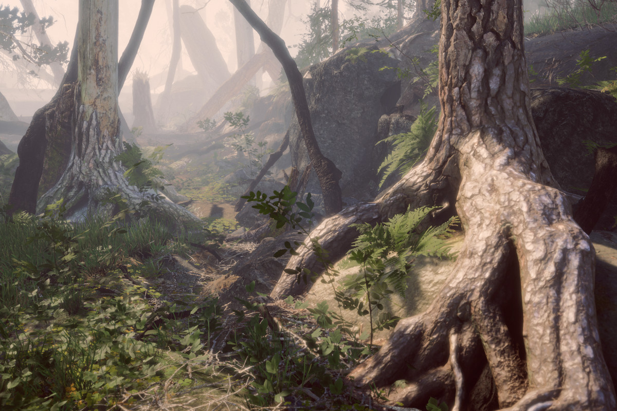 Book of the Dead Forest - URP - Fantasy RPG