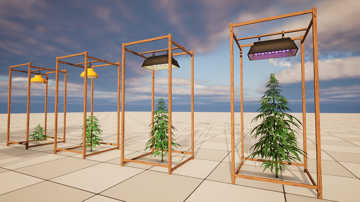 Cannabis (Hemp) Plant 3D Models Pack