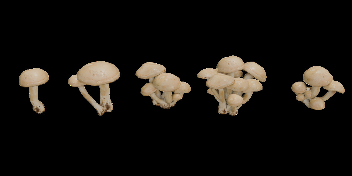 Mushrooms Bundle (62 Prefab + LOD)