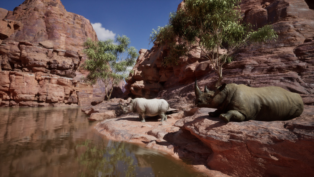 Realistic African Rhinoceros