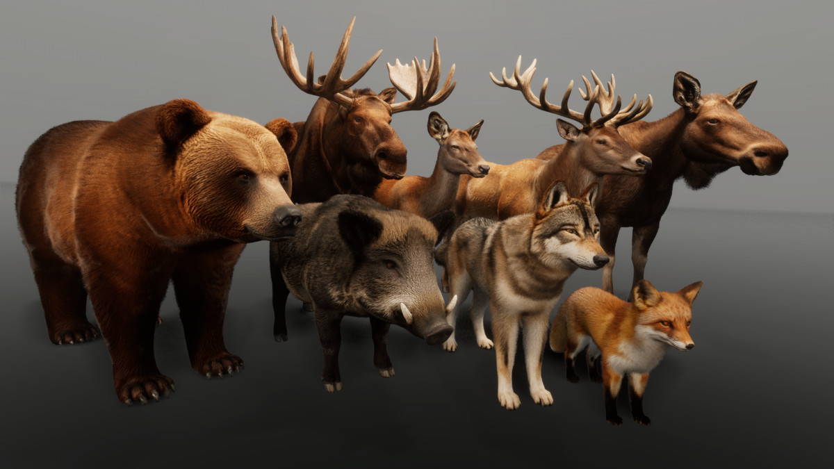 Ultrarealistic Forest Animals - Customizable Fur