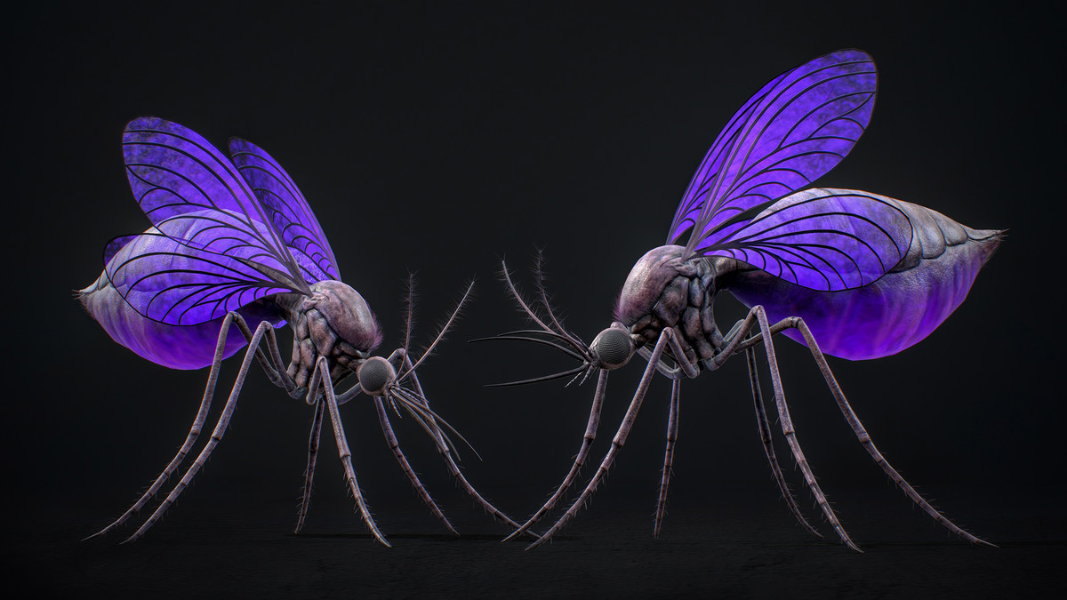 Mosquito Queen - Fantasy Poison Mosquitoes