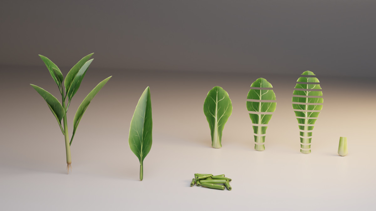 Stylized Asian Vegetable 3D Model Pack – Modular Low Poly Set
