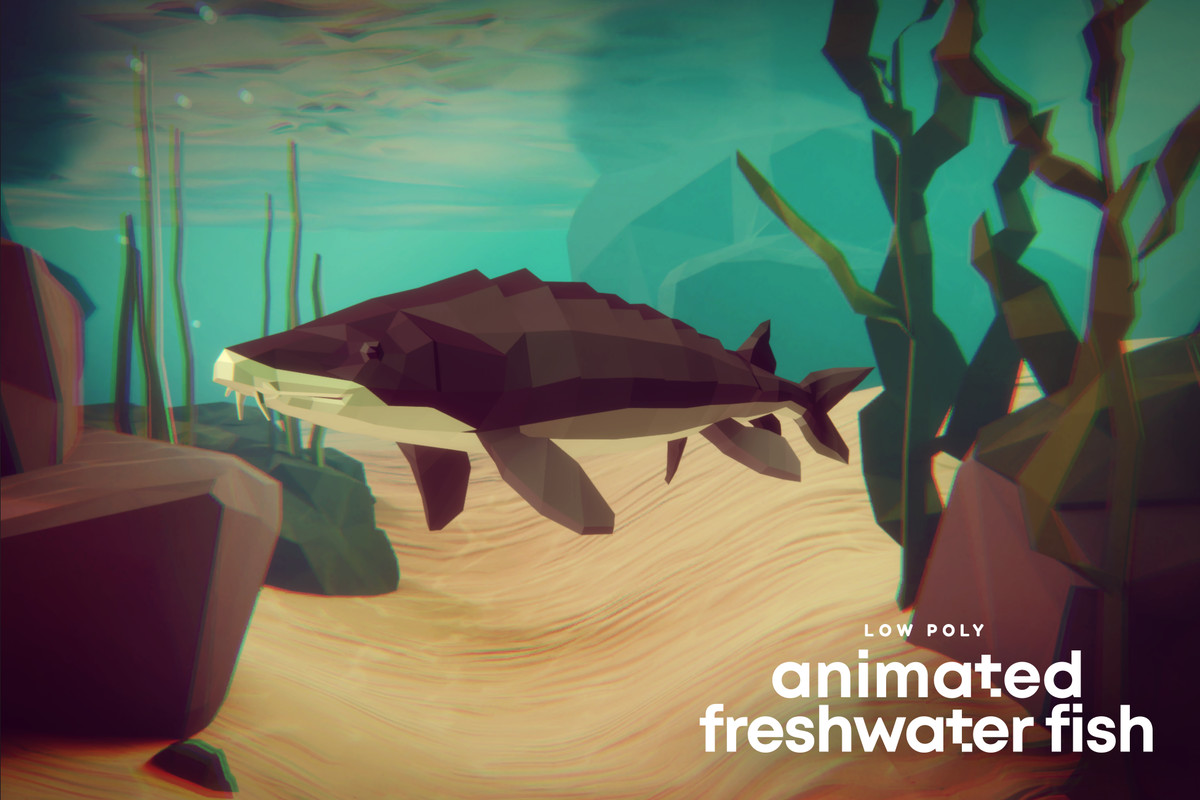 Low Poly Animated Freshwater Fish