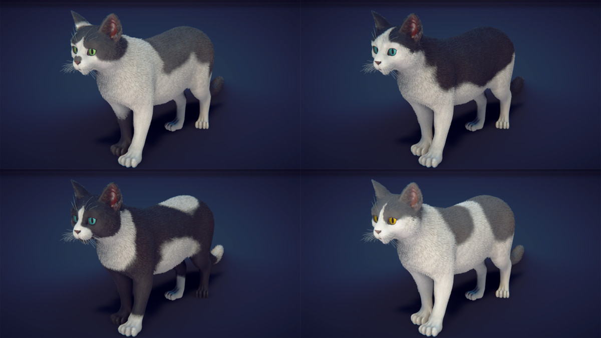 Milo the Cat