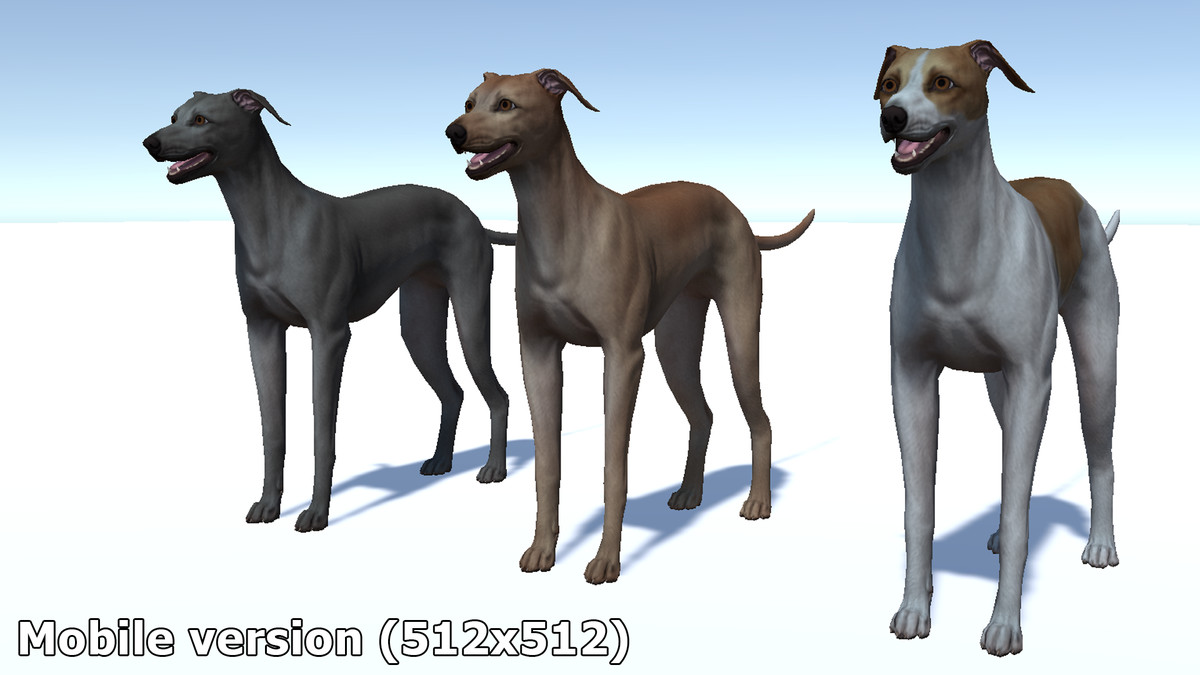 Dog -- Greyhound