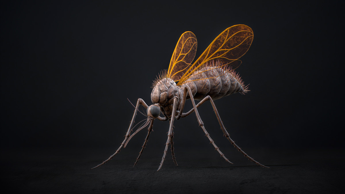 Mosquito Defender - Fantasy Cave Mosquito Creature