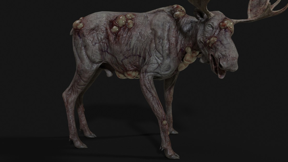 Rot Moose