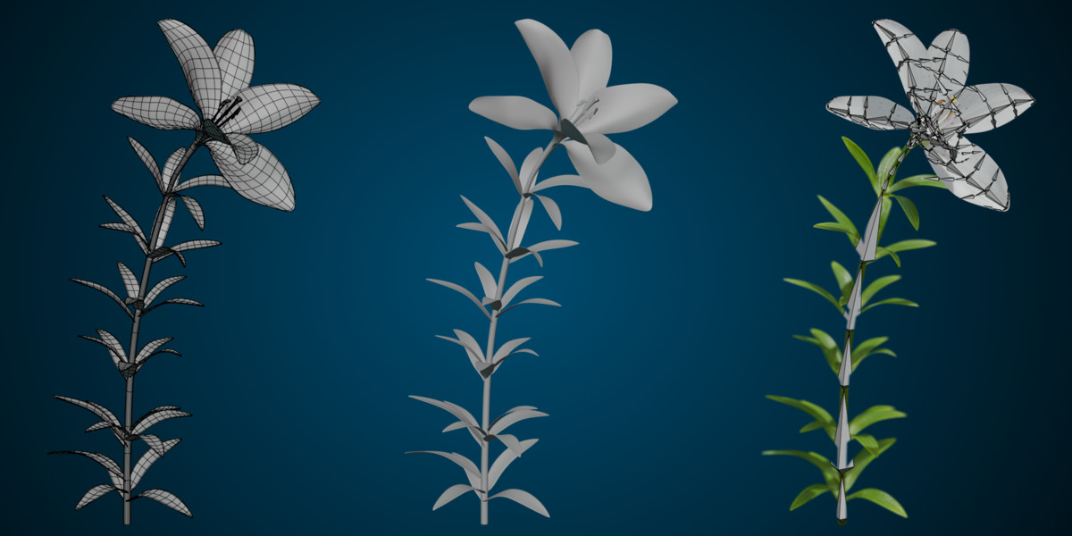 Animated blooming lily