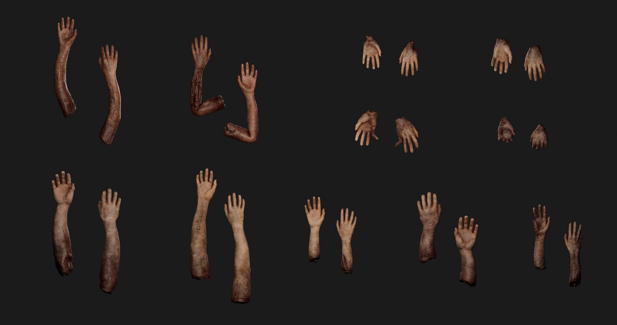 Human Body Parts