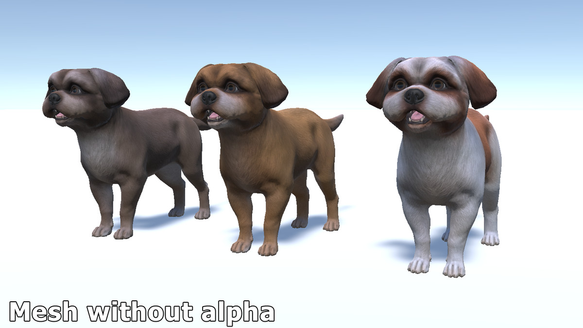 Dog - Shih Tzu