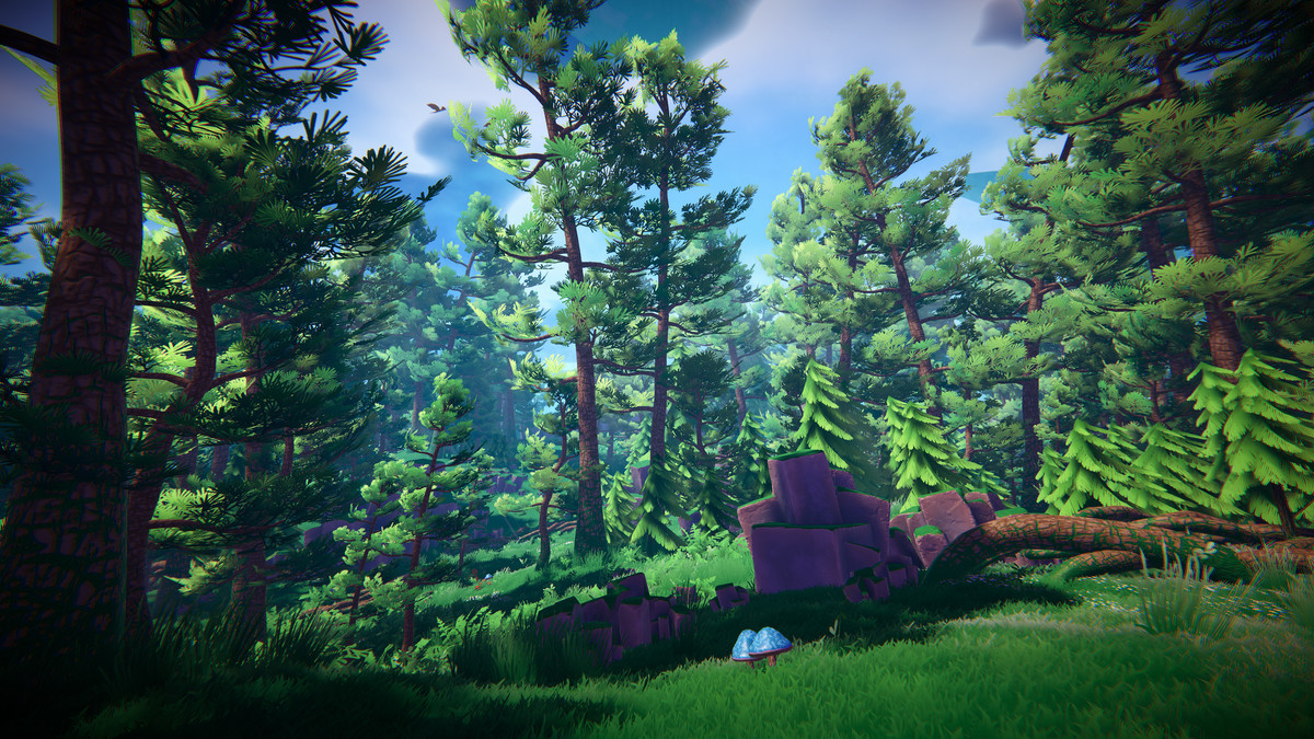 Adventure Nature Vol.6 Forest