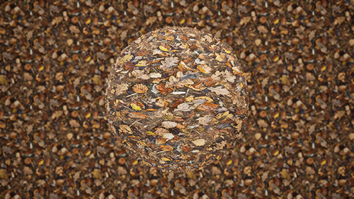 Realistic Materials - Forest Ground 1