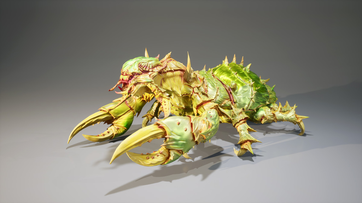 Insect