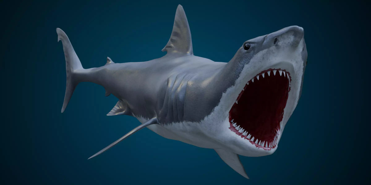Animated Sharks Bundle