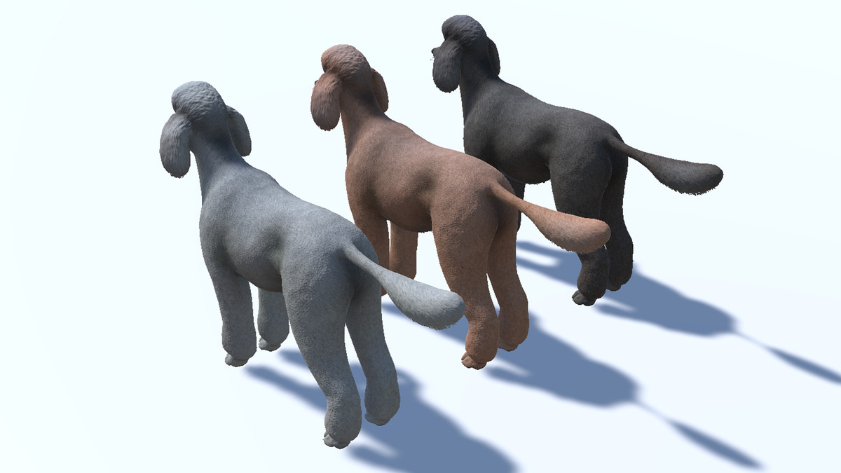 Dog - Poodle