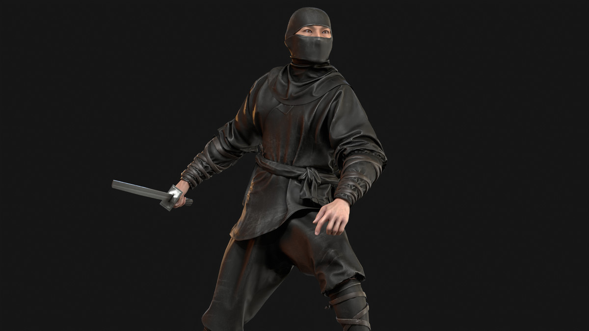 Classic Ninja