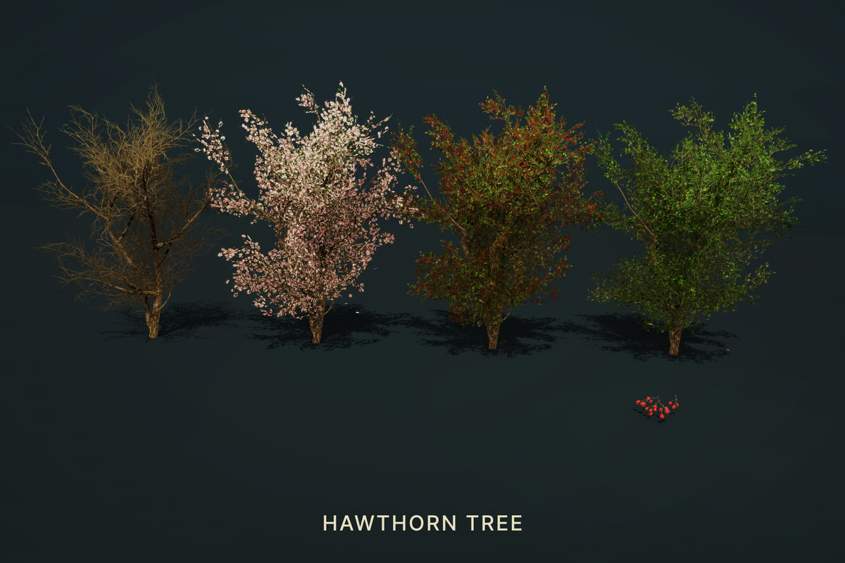 Wild Orchard: Hedgerow Trees | Harvestable Berries