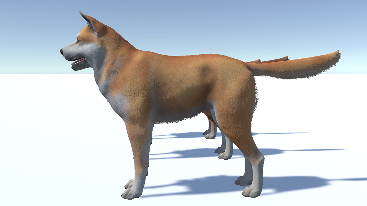 Dog - Akita Inu