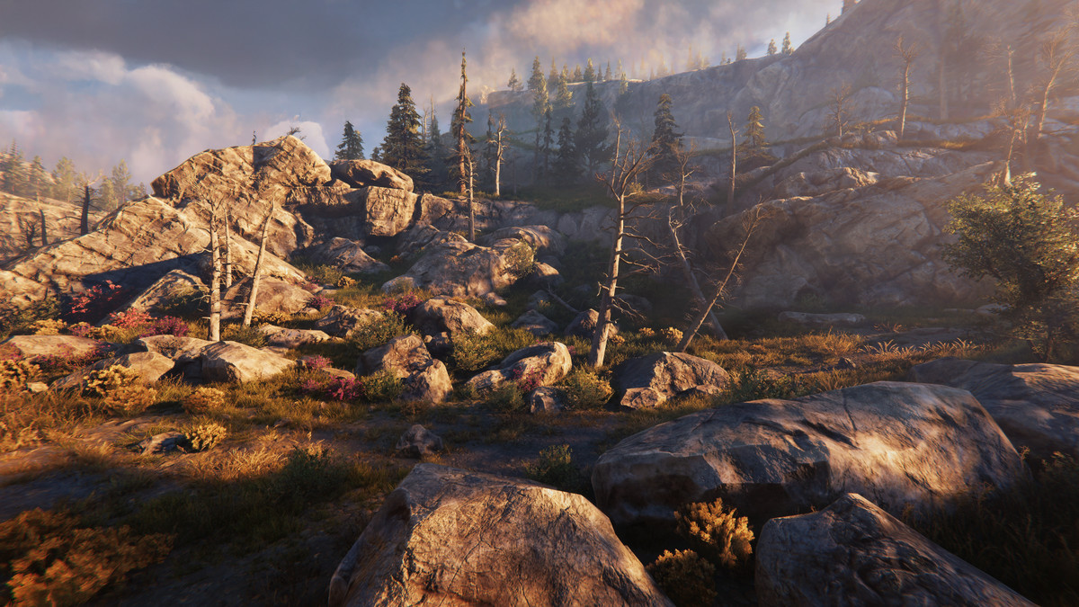 Tobyfredson - Nature Collection