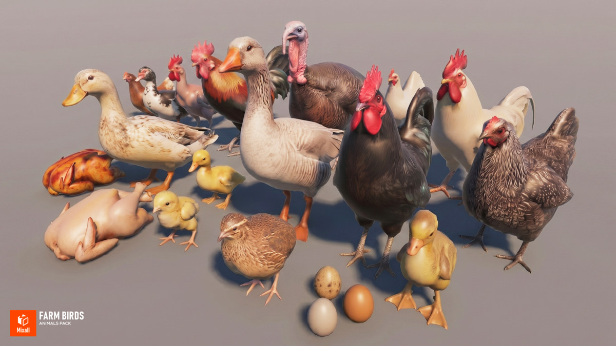 Farm birds - animals pack