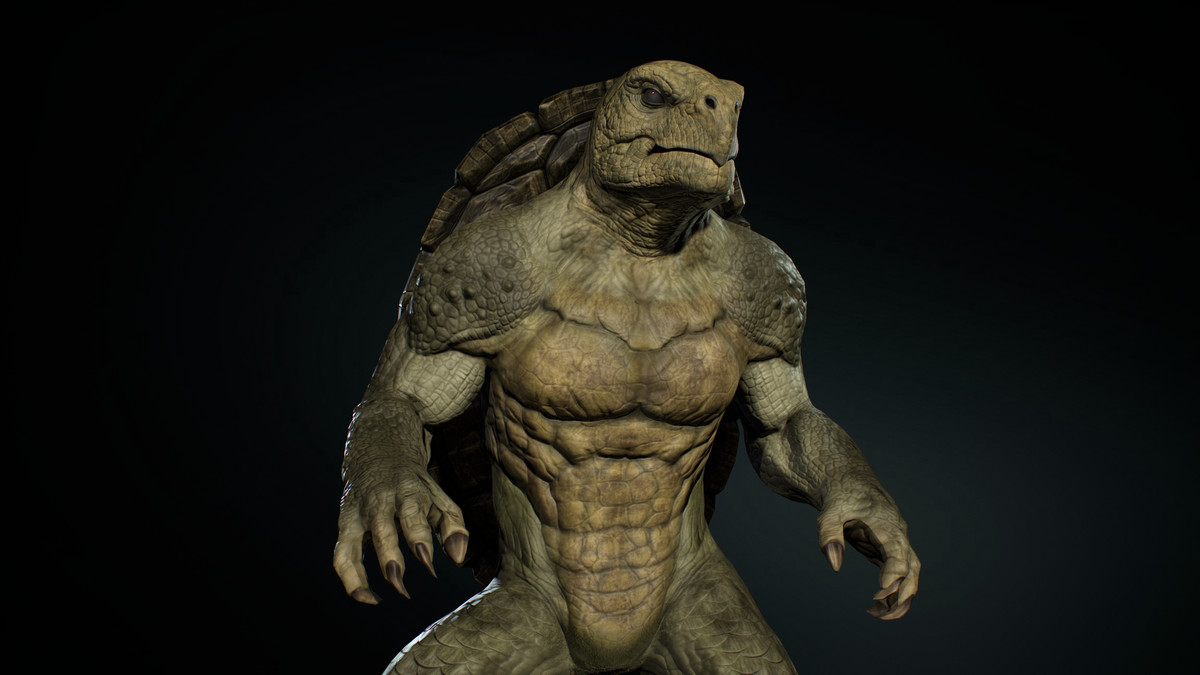 Turtle Humanoid