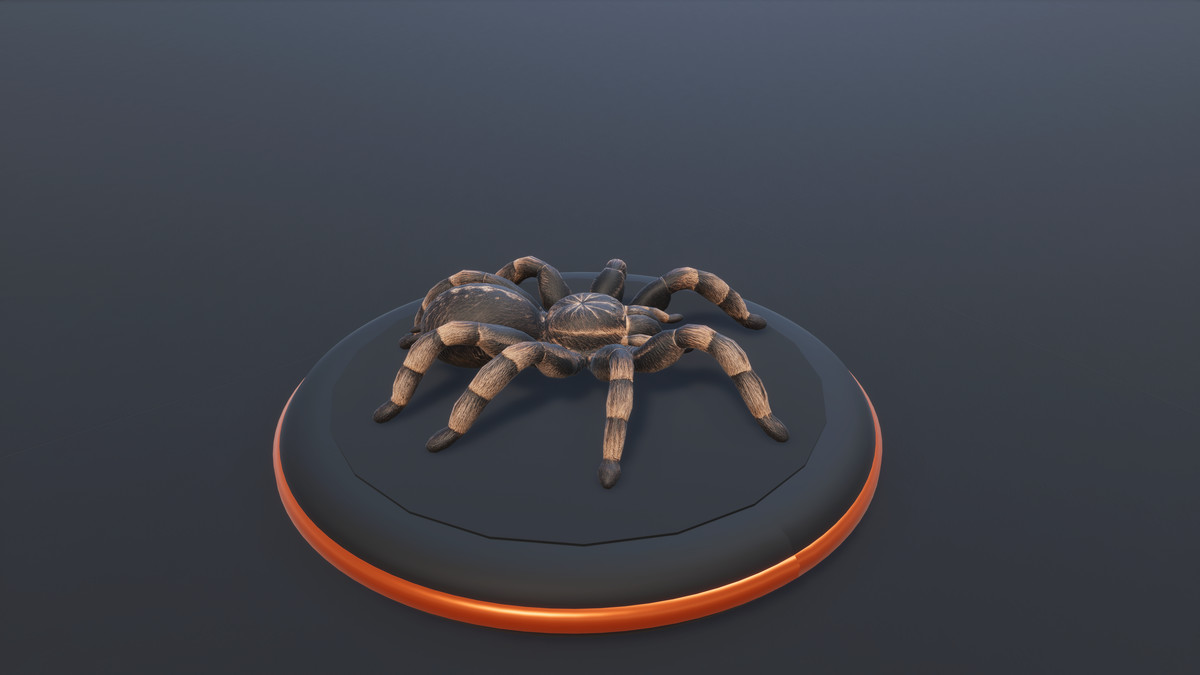 Arachnid Collection — 4 Animated Spiders