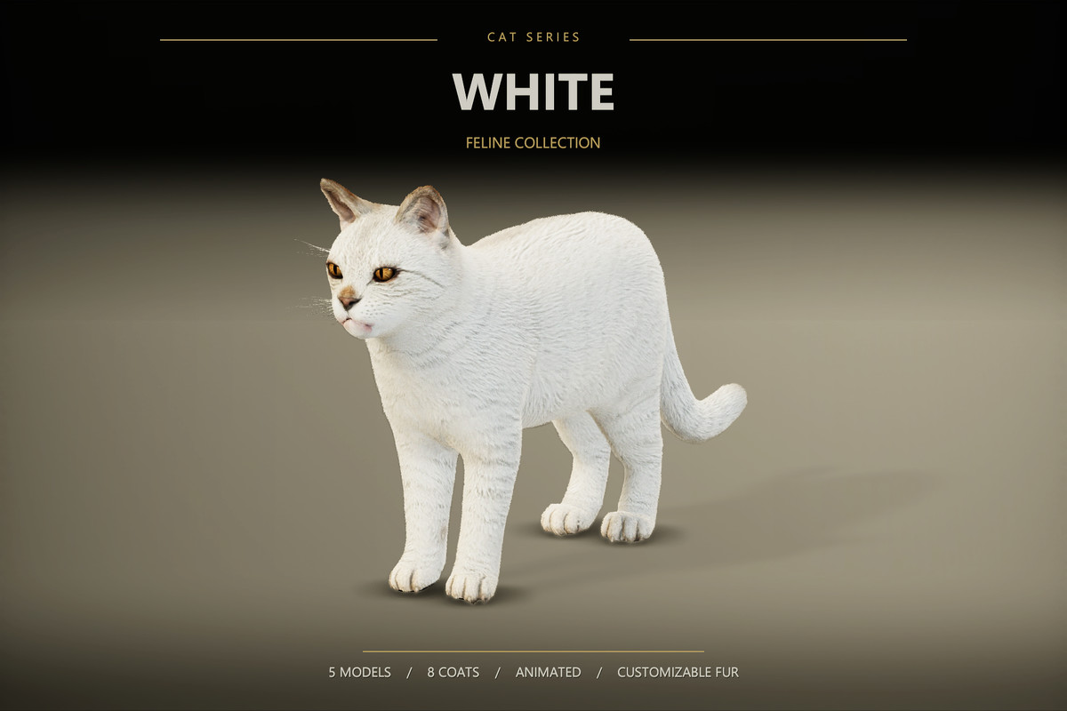 Feline Collection – Realistic Animated Cats with Customizable Fur