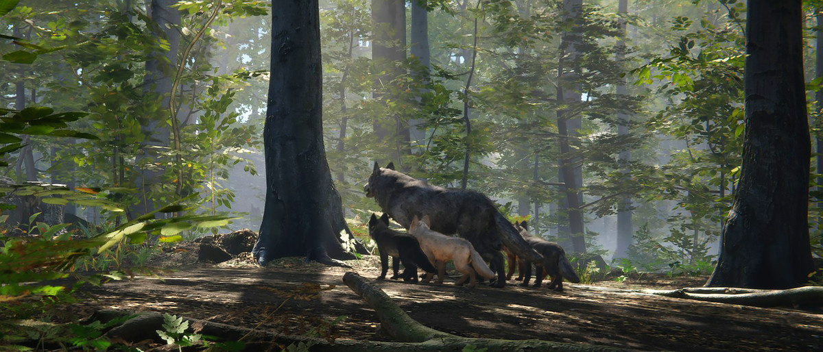 Realistic: Animal Forest Set