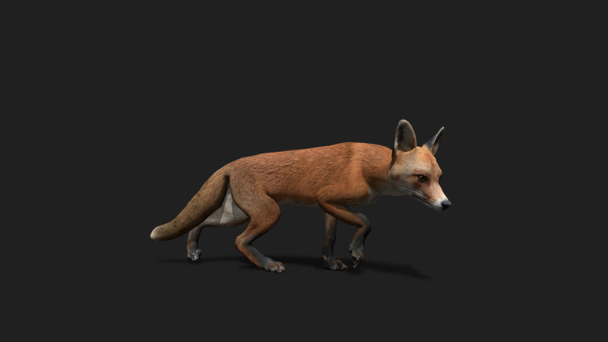 WILDPOLY - Animated Animals – Realistic Pack