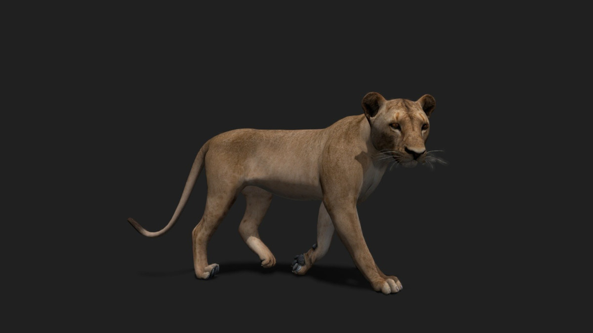 WILDPOLY - Animated Animals – Realistic Pack