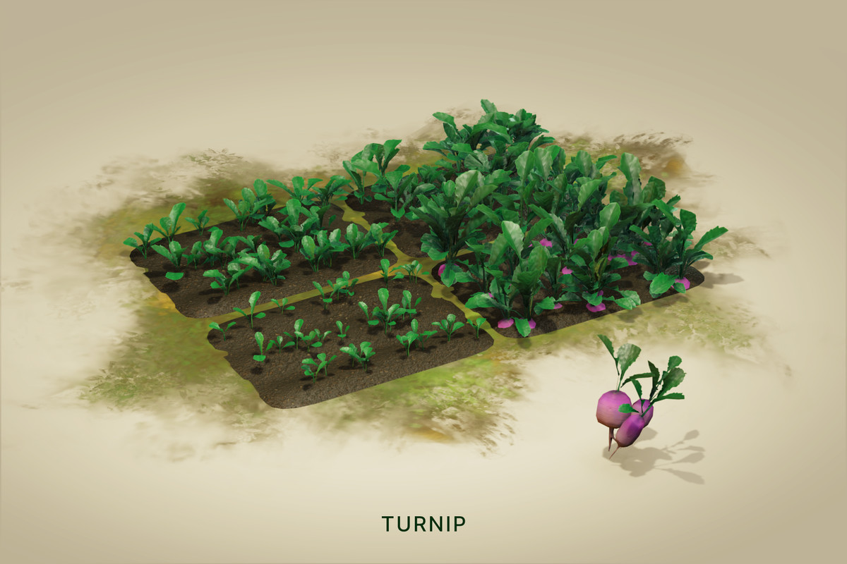 Wild Harvest: Root Vegetables