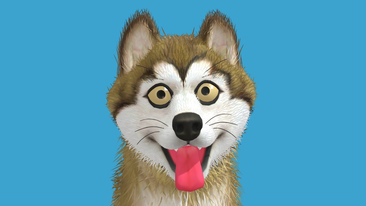Cute Dog - Husky