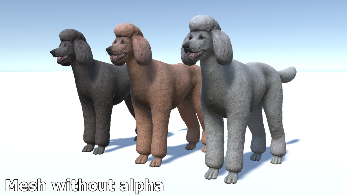 Dog - Poodle