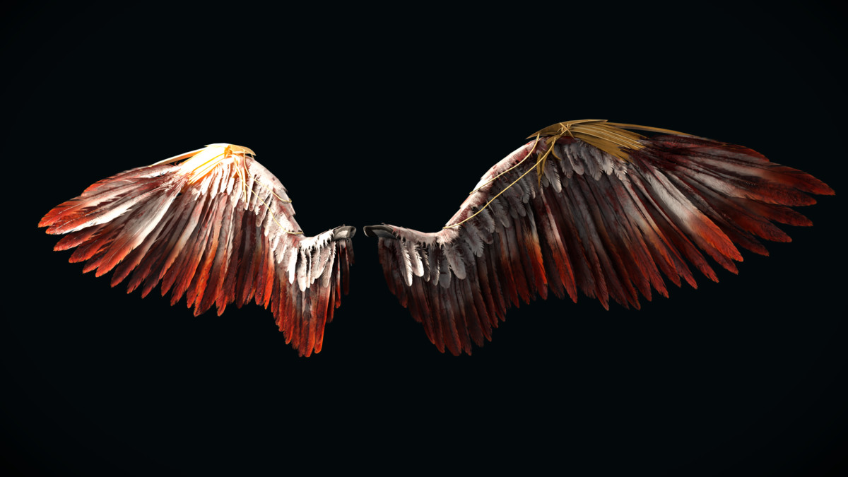 Fallen Angel Wings