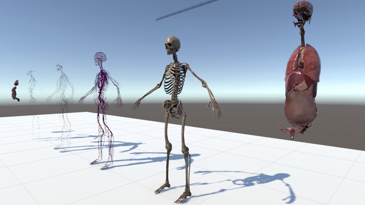 Anatomy Ultimate Pack