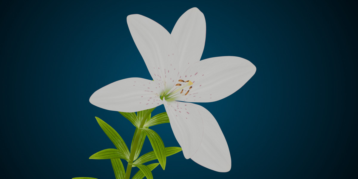 Animated blooming lily