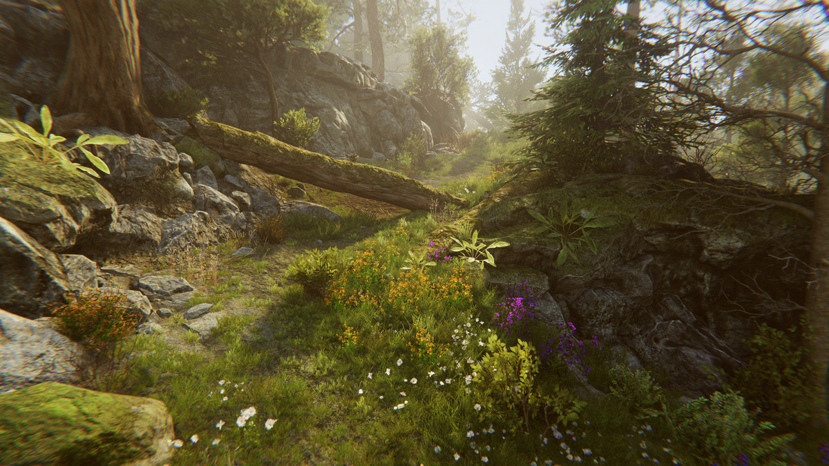 Tobyfredson - Nature Collection