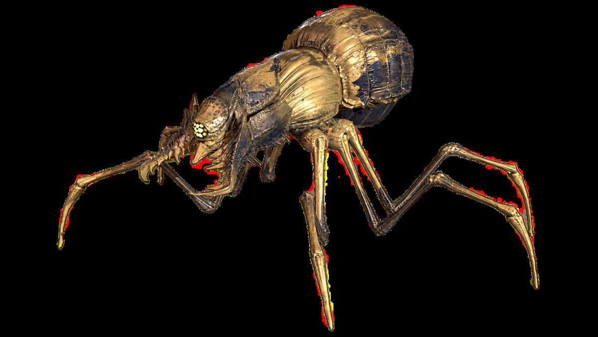 Full Insect Monsters Bundle